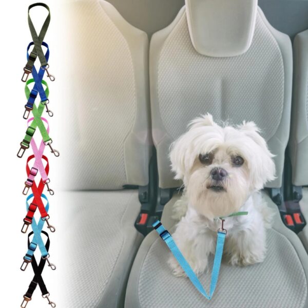 Reguleeritav lemmiklooma turvarihm