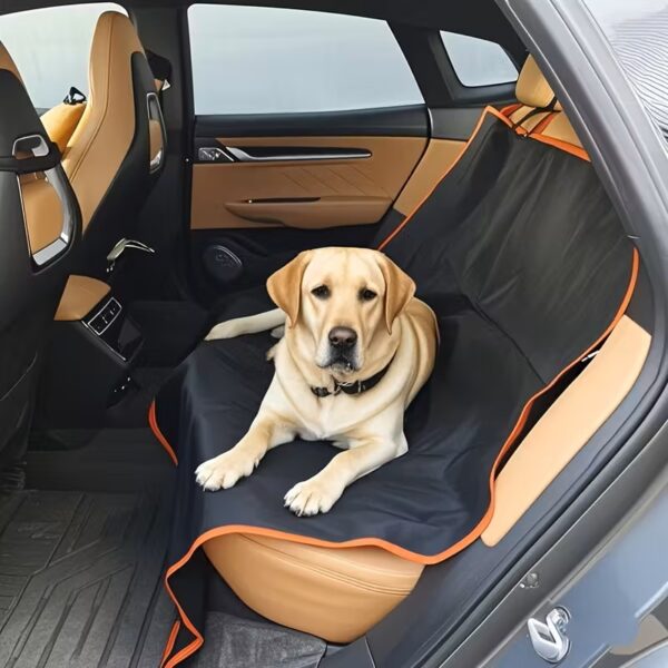Auto istmekate koertele